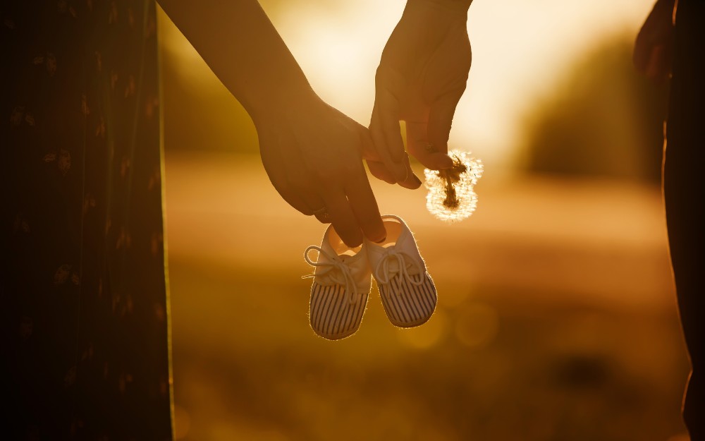 Human Rights and Surrogacy: Legal Analysis of Competing Rights